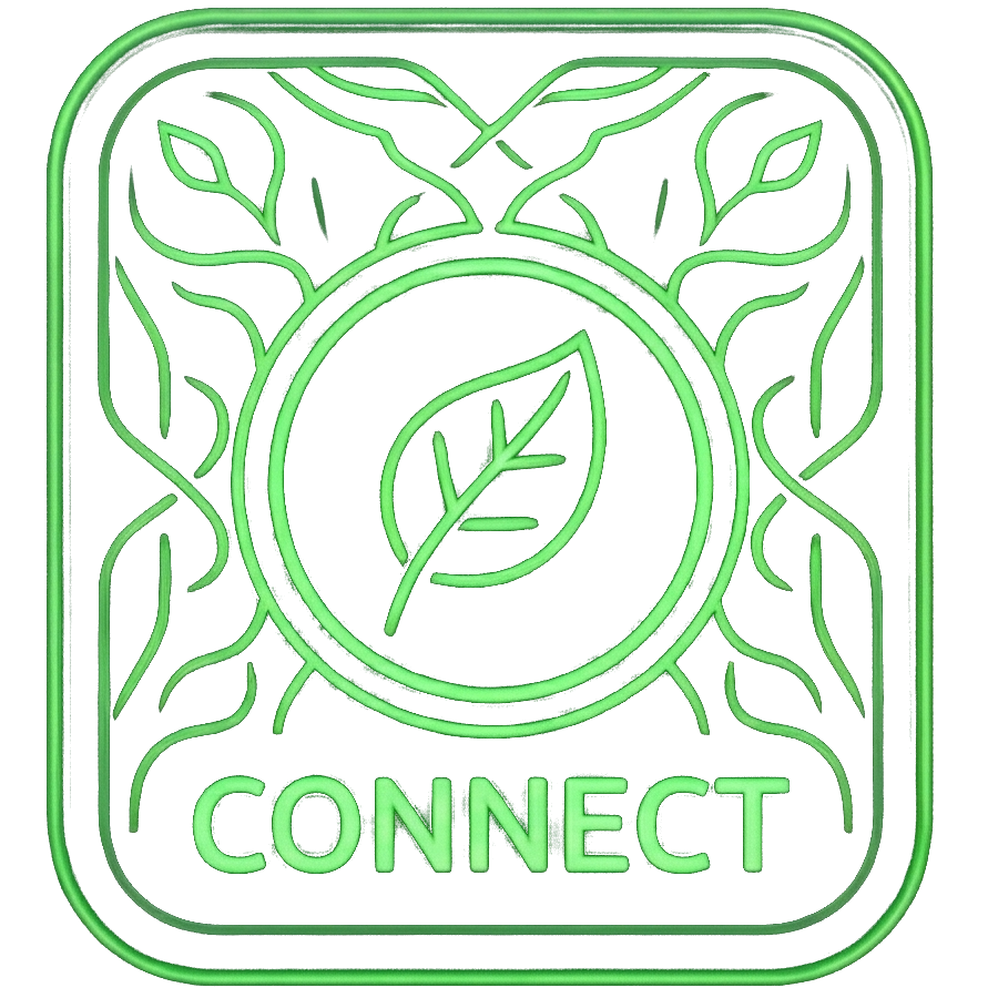 Connect